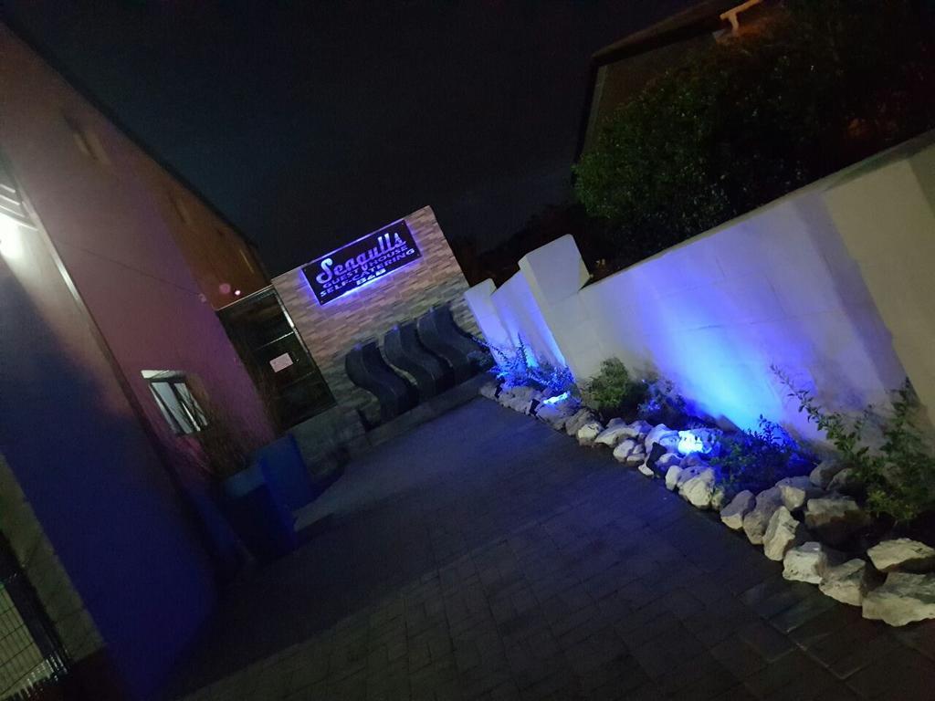 Seagulls Guest House 兰格班 外观 照片